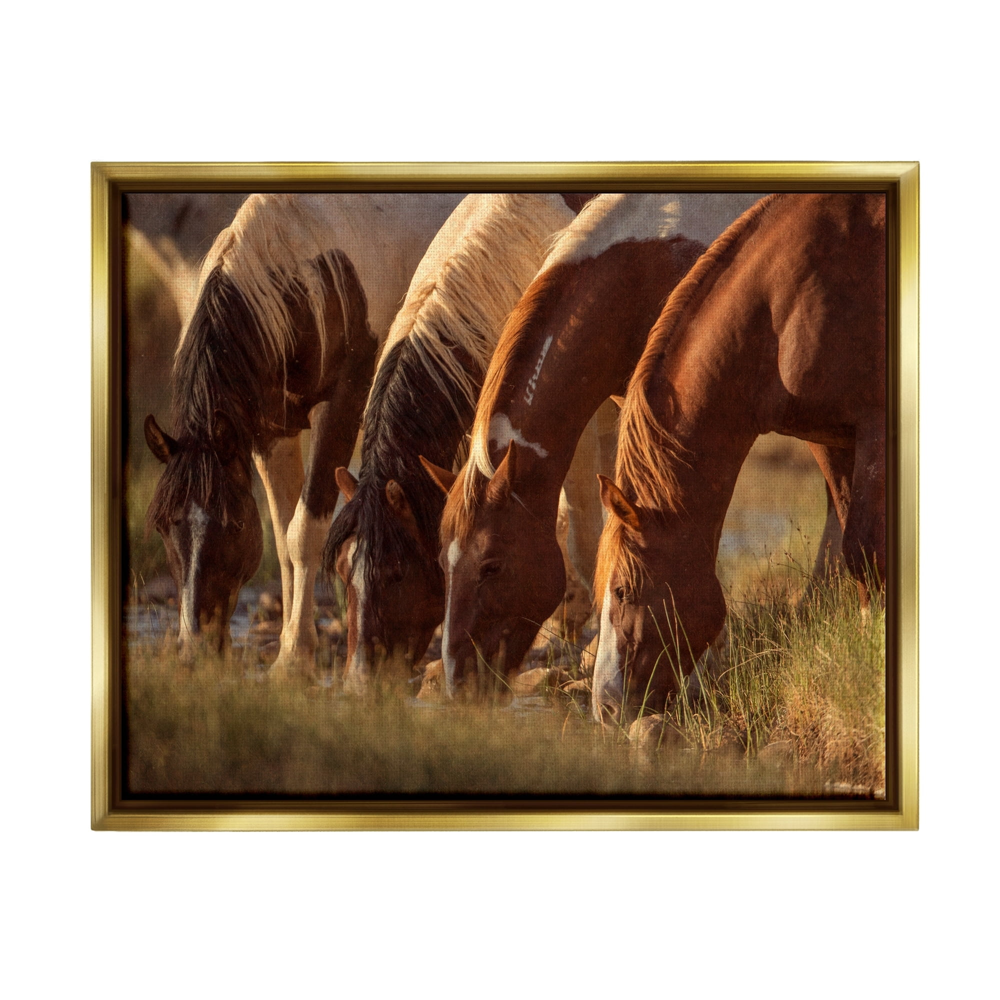 Stupell Industries Sunlit Horses Drinking Water Wildlife Nature Scene Photograph Metallic Gold Floating Framed Canvas Print Wall Art, Design by Jan Walters