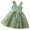 /c202Green390, variant on Child Toddler Girls Dresses V Neckes Tulle Butterfly Fly Sleeves Mesh Embroidery Holiday Party Dance Sweet Celebration Dress,Green,3-4 Years