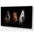 thumbnail image 2 of Chevaux Noirs Rouges et Blancs - Impression sur Toile d'Art Animalier, 2 of 3