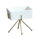 thumbnail image 1 of Caja de Almacenamiento de Joyería Soledad de Cerámica con Estante Negro y Dorado, 1 of 10