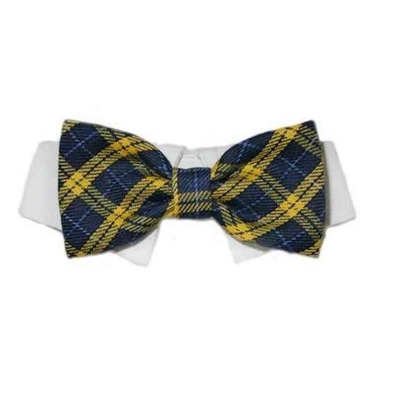 Pooch Outfitters PBRB-3XL Bruce Bow Tie, Blue - 3XS