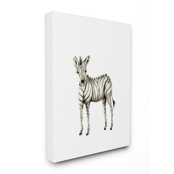 Stupell Baby Zebra Canvas Wall Art 16 x 20