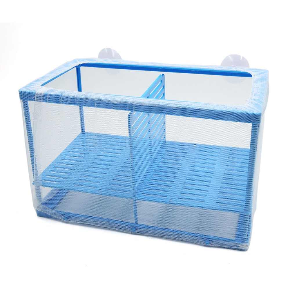 Betta Tank Aquarium Fish Separation Frame Net Fry Hatchery Breeder Box