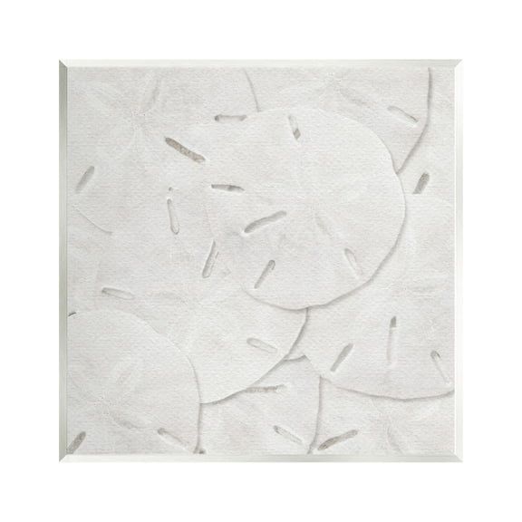 Stupell Industries Nautical Sand Dollars Animals & Insects Painting Unframed Art Print Wall Art, 12 x 12