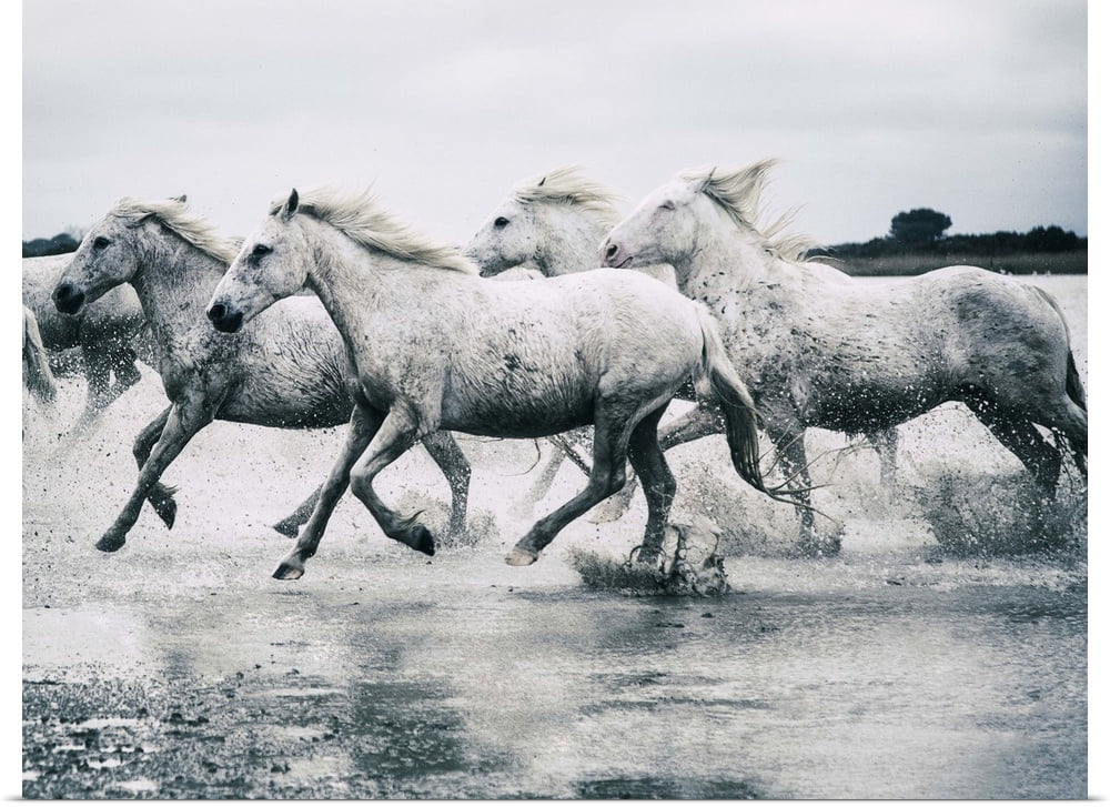 Great BIG Canvas | Rolled Scott Stulberg Poster Print entitled The ...