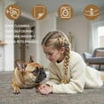 thumbnail image 4 of Area Rug x for Living Room Bedroom Dining Room Washable Rugs Vintage Distressed Print Carpet UltraThin Chenille Low Pile Lightweight Rug with Non Slip Backing Sepia, 4 of 7