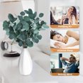 thumbnail image 5 of NOGIS 2oz Eucalyptus Leaves Stems for Decor, Artificial Eucalyptus Leaves Bulk Silver Dollar Green Branches for DIY Wedding Floral Garland Bouquets Arrangement Home Party Decoration, 5 of 7