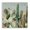 Southwestern Cactus Blooms, variant on Stupell Industries Contemporary Prickly Cactus Blossoms Black Framed Giclee Art, 12 x 12, by RB