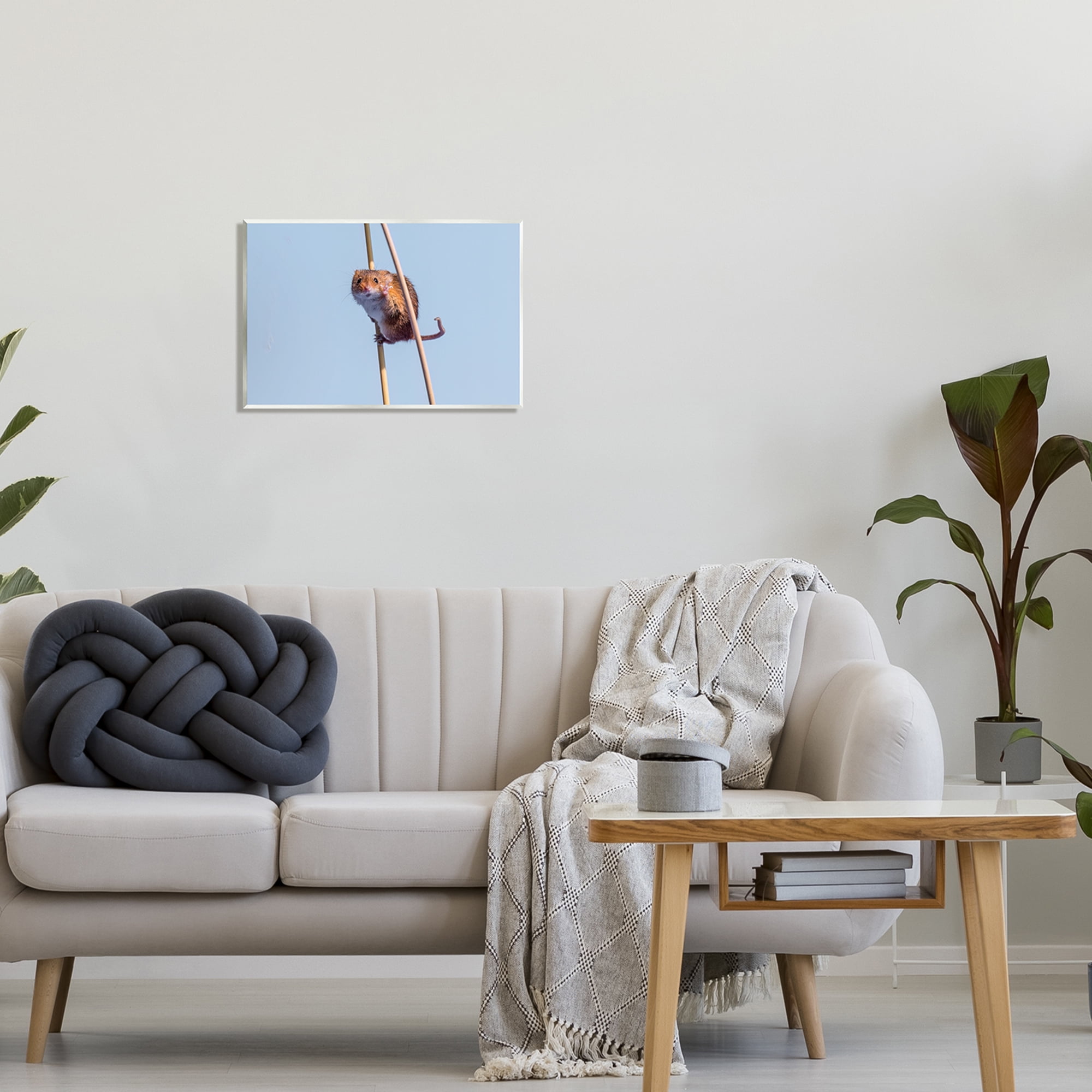 Stupell Industries Funny Balancing Mouse Animals & Insects Photography Unframed Art Print Wall Art, 19 x 13