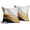 Black Gold, variant on Floral Pillow Covers 18x18 Inch Black and Cream Outdoor Decorative Throw Pillows Set of 2 Vintage Floral Pillowcase Chinoiserie Flower Pillow Cases for Sofa Couch Home Decor