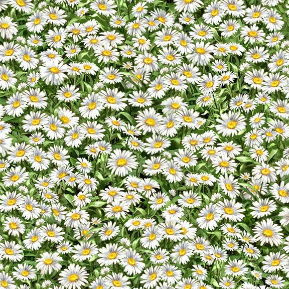 Timeless Treasures Peaceful Garden Packed Daisies Multi 100% Cotton Fabric sold by the yard
