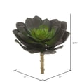thumbnail image 2 of Vickerman 5.75" Artificial Green Echeveria Pick, Set of 3, 2 of 4