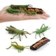 thumbnail image 2 of Naturaleza Saltamontes / Caracol Insectos Crecimiento Ciclo de vida Fifurine Modelo Enseñanza Estilo 1, 2 of 9