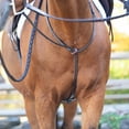 thumbnail image 7 of Equinavia Saga Adjustable Leather Standing Martingale with Stainless Steel Hardware, 7 of 7