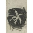 thumbnail image 2 of Carel Adolph Lion Cachet 13x18 Gold Ornate Wood Frame and Double Matted Museum Art Print Titled - Orchidee (1874), 2 of 4