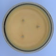 thumbnail image 2 of Mainstays Citrus Champagne Scented 3-Wick Glass Jar Candle, 11.5 oz, 2 of 4