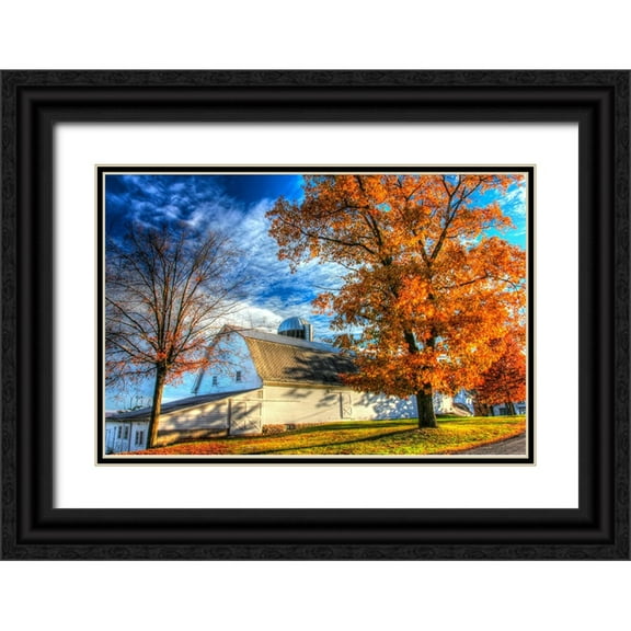 Goldwitz, Robert 14x11 Black Ornate Wood Framed with Double Matting Museum Art Print Titled - Autumn Barns