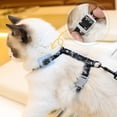 thumbnail image 3 of AMERTEER Cat Leash Back Strap 1 Set Hold Pets No Constraint Stable High Strength Dog Leash Back Strap, 3 of 5