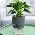 thumbnail image 5 of 2-Layer Round Self Watering Plant Pots with Cotton Rope, Flower Planter with Water Container, Flower Pots Indoor, 5 of 8