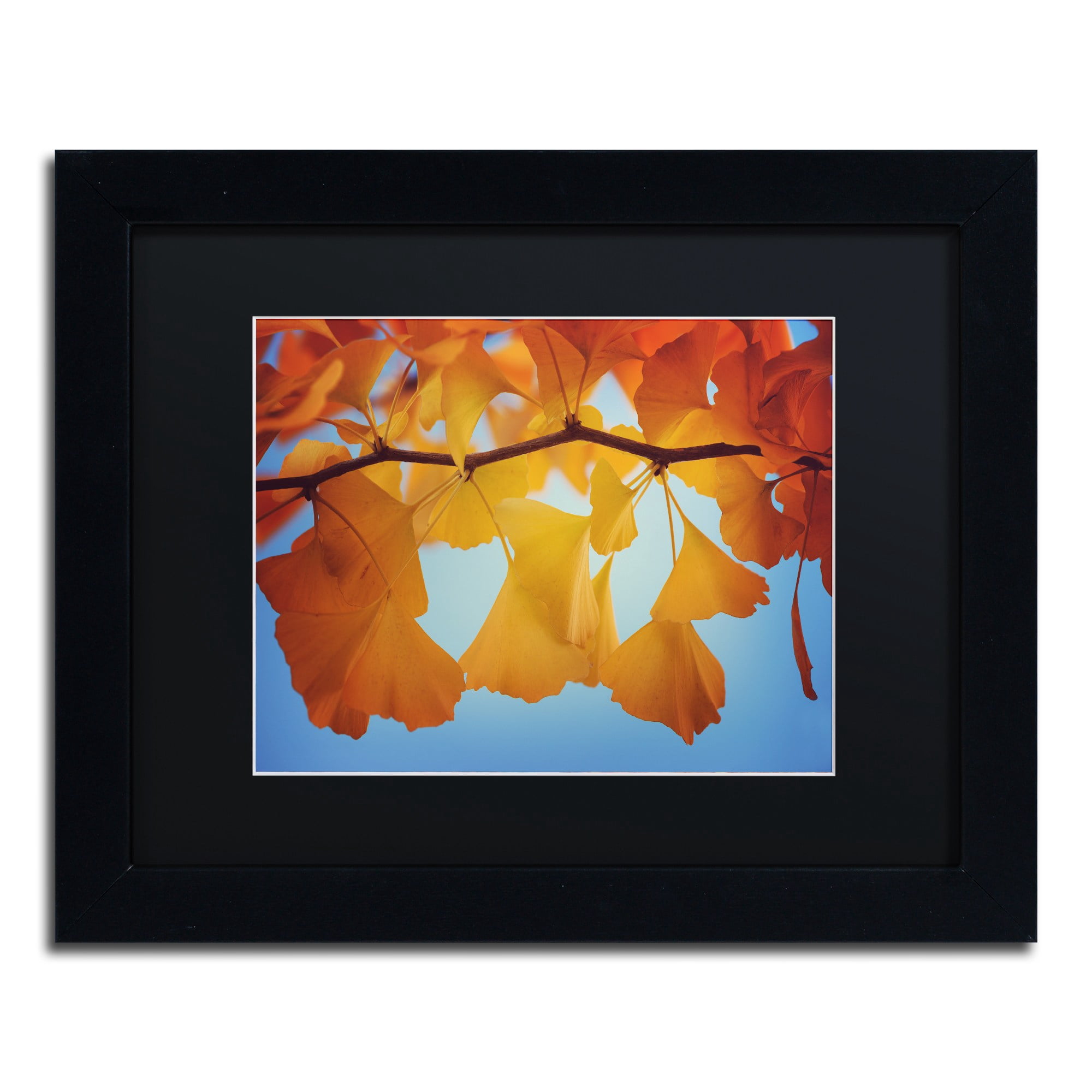 Trademark Fine Art "Spiritual Food" Canvas Art by Philippe Sainte-Laudy Black Matte, Black Frame