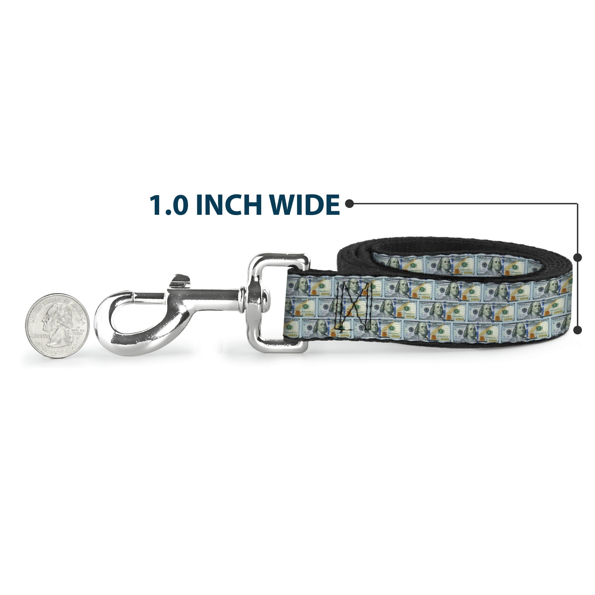 Buckle-Down Pet Leash, Dog Leash, 100 Dollar Bill Series 2009 Repeat, 6 Feet Long 1.0 Inch Wide