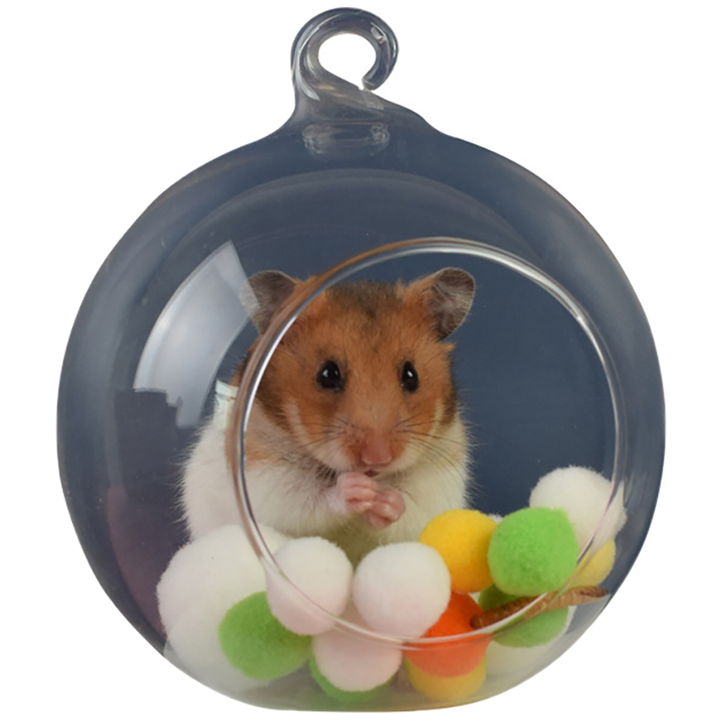 Small Animal Hideout Glass Sphere Hanging Hamster House Pet Rat Hideout