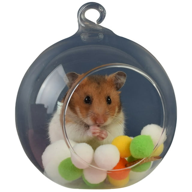 Small Animal Hideout Glass Sphere Hanging Hamster House Pet Rat Hideout House