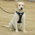 thumbnail image 3 of Arnés para perros Bling Bling triangular ajustable de lujo, 3 of 10