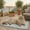 Light Gray-31" x 28.5", variant on Light Gray 35" x 23" Pet Crate Pad for Dogs and Cats