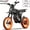 GT54 PRO, variant on Riding'times GT54 Electric Dirt Bike for Teens Adults,48V 27AH 37MPH Ebike with 14"/12" Motorcycle Tire,2000W Dual Hydraulic Brakes E Mountain Bike off-road UL2849