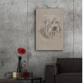 thumbnail image 6 of Epic Art 'Havanese' by Barbara Keith, Acrylic Glass Wall Art, 24"x36", 6 of 8