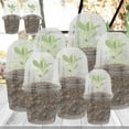 thumbnail image 3 of 5/10PCS Clear Seedling Nursery Pots with Breathable Cover Seed Starting Grow Cup Flower Plant Containers Garden Vegetable Pot, 3 of 9