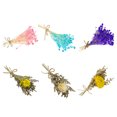 thumbnail image 4 of Toystoory Mini ramo de flores secas 10X, artesanía DIY, decoración de boda, mano de obra fina exquisita, decoración de tarjeta de regalo dulce atractiva Artesanía N20 Toystoory HA084418-06, 4 of 6