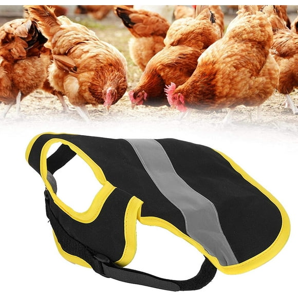 QUETO Gilet de Poulet, Harnais réfléchissant pour Animaux de Compagnie, Gilet réglable en Polyester, Poulet, Canard, oie, Tablier de Selle de Poule