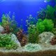thumbnail image 5 of Grava de acuario, piedra Natural, guijarros pulidos, rocas de vidrio, decoraciones para rellenos de jarrones, 1 ud. ER, 5 of 5