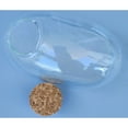 thumbnail image 4 of Mouse Glass Terrarium W/ Cork Lid, 4 of 7
