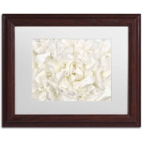 Trademark Fine Art 'White Peony Flower' Canvas Art by Cora Niele, White Matte, Wood Frame