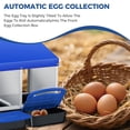 thumbnail image 4 of EDTara Metal Chicken Nesting Box Provides Sturdy Galvanized Steel Build and a Convenient Removable Roll-Out Tray, Ensuring Easy Egg Gathering and Cleaning for Backyard or Farm Poultry Setups, 4 of 8
