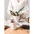 thumbnail image 4 of LE TAUCI Ceramic Plant Pots, 6 Inch Flower Pot with Drainage Hole & Saucer, Embossed Planter Pots for Indoor Plant Succulent, Orc, 4 of 6