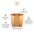 thumbnail image 2 of Vela decorativa Dr. Vranjes Pro Oud Nobile 200 g perfumada, 2 of 6