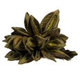 thumbnail image 1 of Vickerman H2STA100 6-11 Po. Basilic Star Pod, 1 of 1