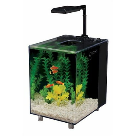 Prism Desktop Aquarium / 2 Gallon Black (Best Fish For 120 Gallon Tank)