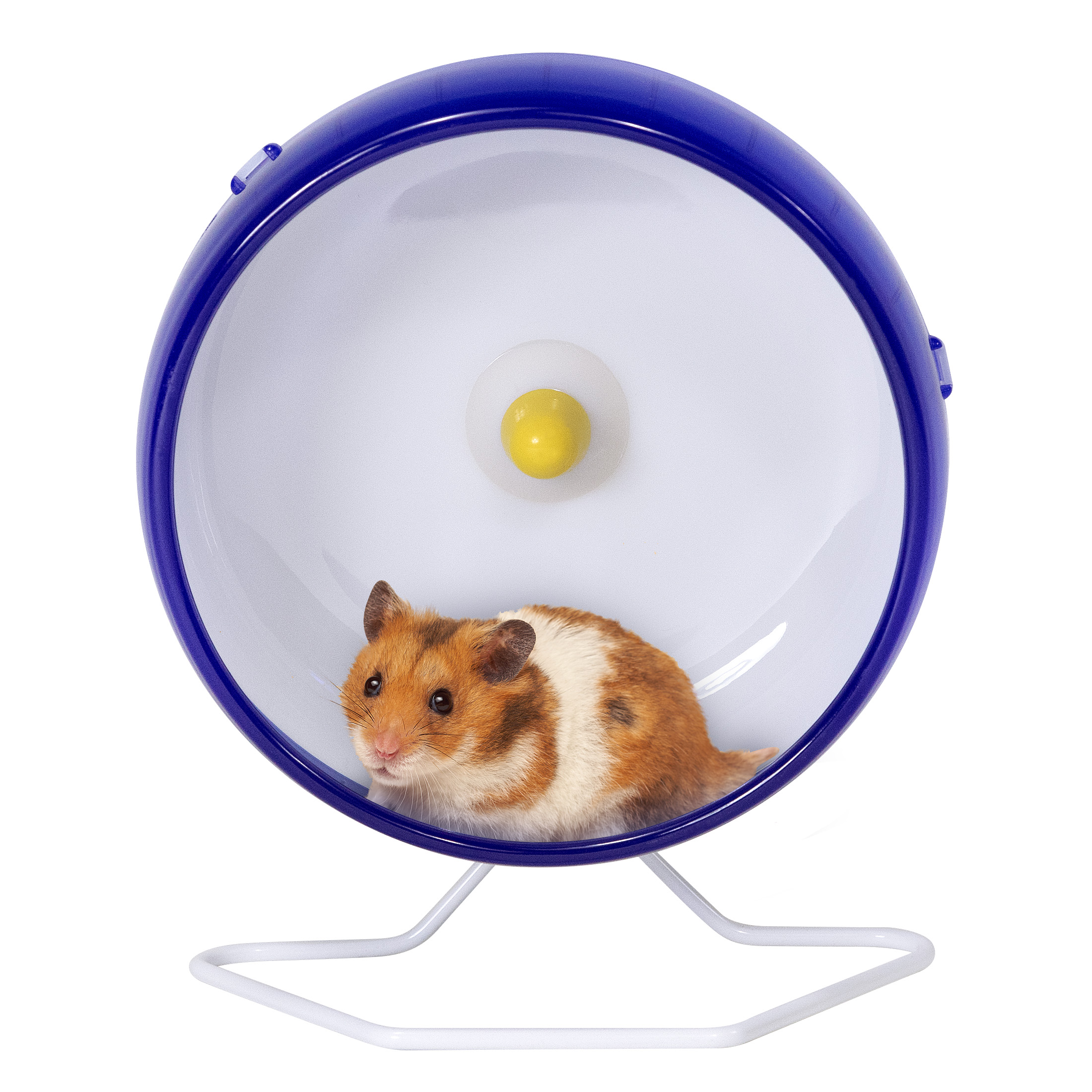 Pet Champion Plastic Quiet Hamster Wheel, 6" - image 3 of 7