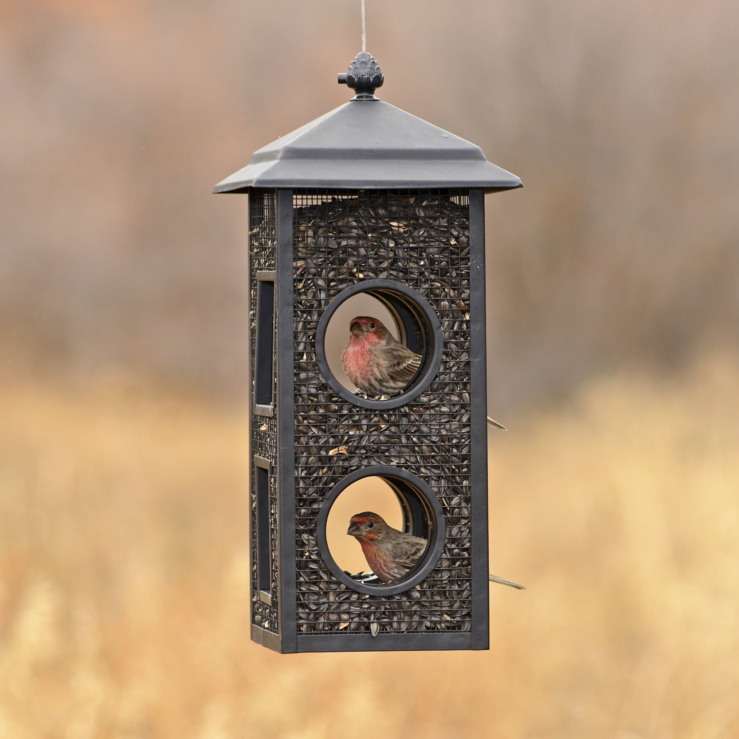 Perky-Pet Fly-Thru Wild Bird Feeder - 2 lb Capacity for Black-Oil Sunflower Seeds - Wild Bird Feeder for Outdoors - Outdoor Decor - B00303