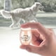 thumbnail image 4 of 1,57 pulgadas pequeña soporte de cremación tapa de tornillo impermeable recuerdo botella de Metal tarro Memorial Mini para , mascotas Sunnimix pequeñas urnas, 4 of 7