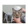 thumbnail image 4 of Cute Gray Cat Bath Canvas Wall Art for Home Decor Ready-to-Hang, 4 of 18
