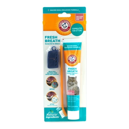 UPC: 0742797781556 | Arm & Hammer Advanced Care Training Dental Kit for Cats & Kittens