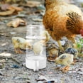 thumbnail image 4 of unbranded 2Ud Bebedero Automático Para Gallinas Con Control Eficiente Del Para Uso Interior Y Exterior, 4 of 8