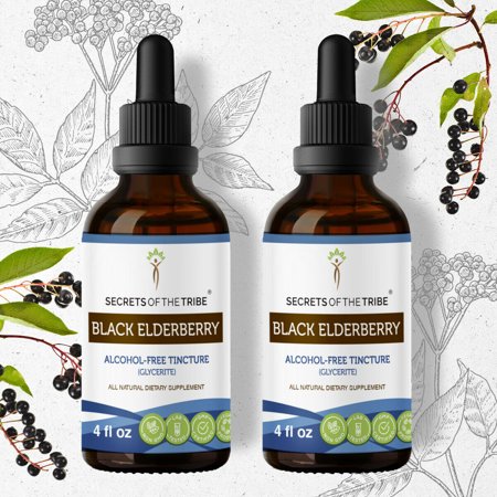 Black Elderberry Tincture Alcohol-FREE Extract  Organic Black Elderberry Sambucus Nigra Immune System Health 2x4 oz