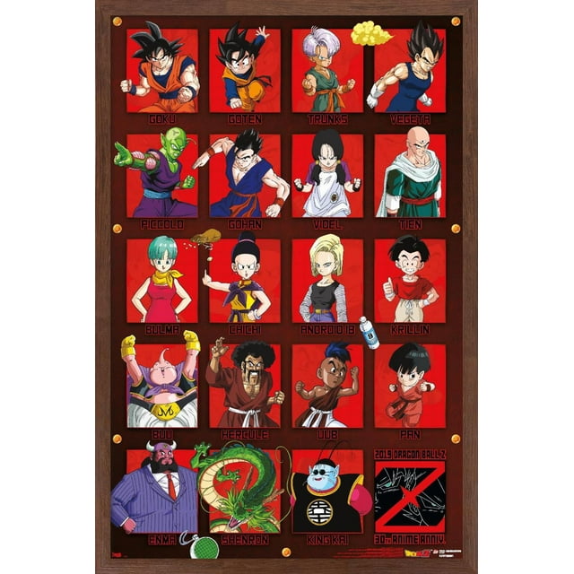 Dragon Ball Z - Anniversaire